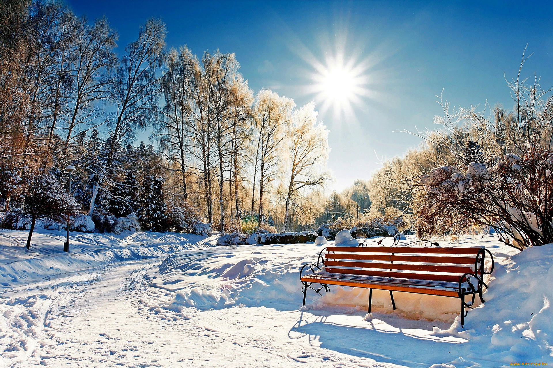 �������, ����, �������, ���, ������, ����, ����, ��������, ������